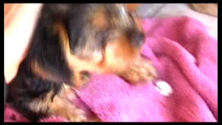 [Tor Uploaded By, Hot Porn, Hot Movie] Nang Nok Tor Uploaded By Hayho Net